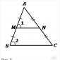 Как найти длину средней линии треугольника?