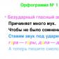 Что такое орфографический разбор слова?